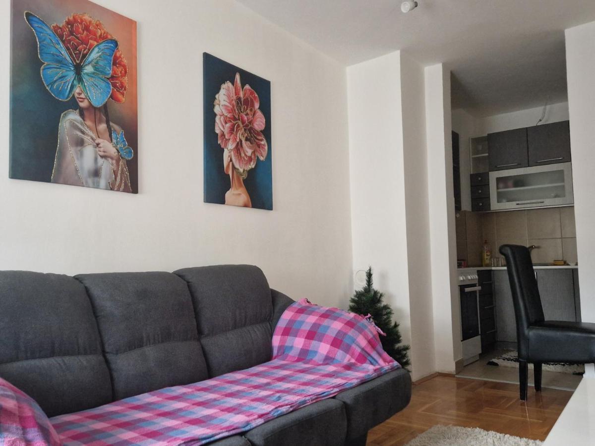 Centar S Apartment Nis Luaran gambar